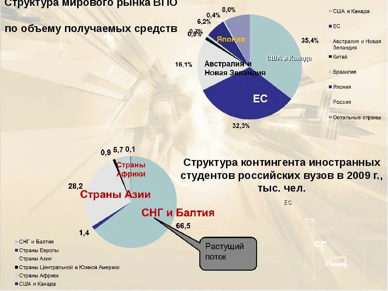 Уровни мирового рынка. Структура мирового рынка. Емкость внутреннего рынка страны. Структура мирового рынка металлопроката. Социальная структура Канады.