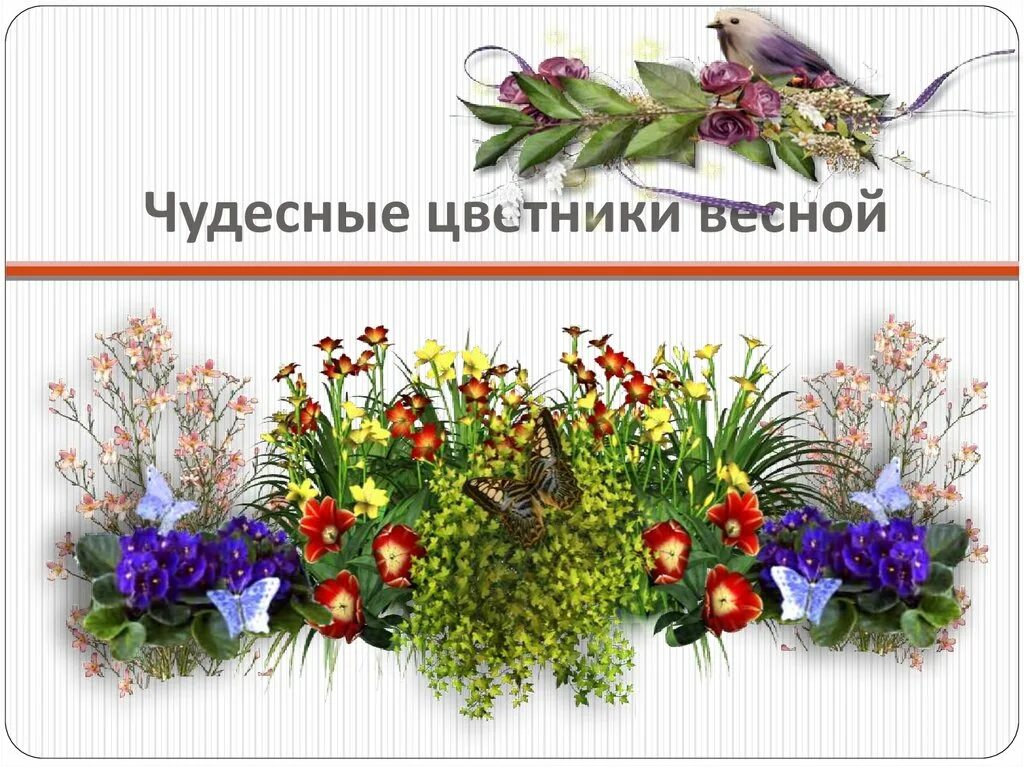 Весенние цветники 2 класс окружающий мир. Растения весенних цветников 2 класс. Чудесные цветники 1 класс. Весенний цветник окружающий мир. Чудесные цветники весной 2 класс перспектива.
