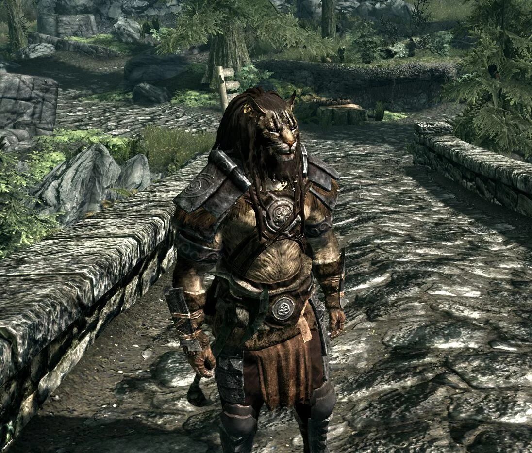 Какую броню выбрать. Какую броню выбрать. Skywind броня. Archolos доспехи. Skyrim каджитская броня.