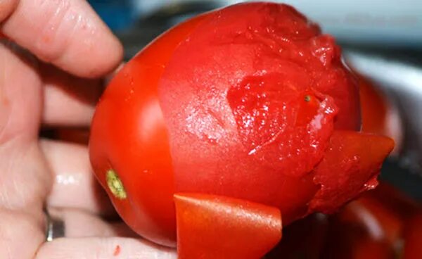 Кожура томатов. Помидорная шкурка. Кожура помидора. Кожица помидора. Шкурка от помидора.