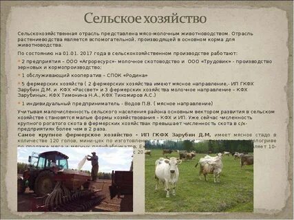 Почему животноводство имело в хозяйстве вспомогательное значение