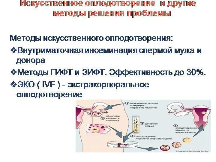 Как называется искусственное оплодотворение. Инсеминация эффективность процедуры. методы искусственной инсеминации.. эко экстракорпоральное оплодотворение. методика экстракорпорального оплодотворения.