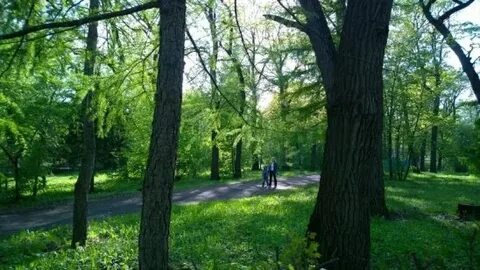 Пензенский парк