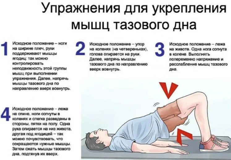 Упражнение для таза у мужчин