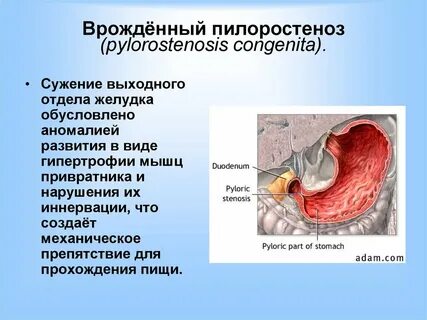 Привратник проходим