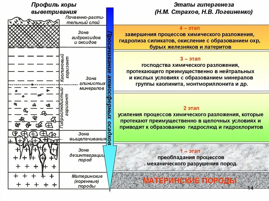 К материнской породе примыкает почвенный. Типы коры выветривания. Стадии коры выветривания.