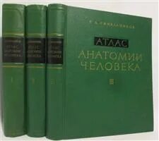 Атлас анатомии синельников 3. Атлас анатомии человека р.д синельникова в 4 томах. атлас анатомии человека синельников 1 том. атлас анатомии человека синельников 1989 в 2 томах. атлас 1963 синельников.