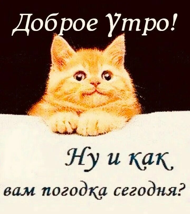Улыбнись, ведь ты же чье-то счастье! Holidays and events, Good thoughts, Good mo