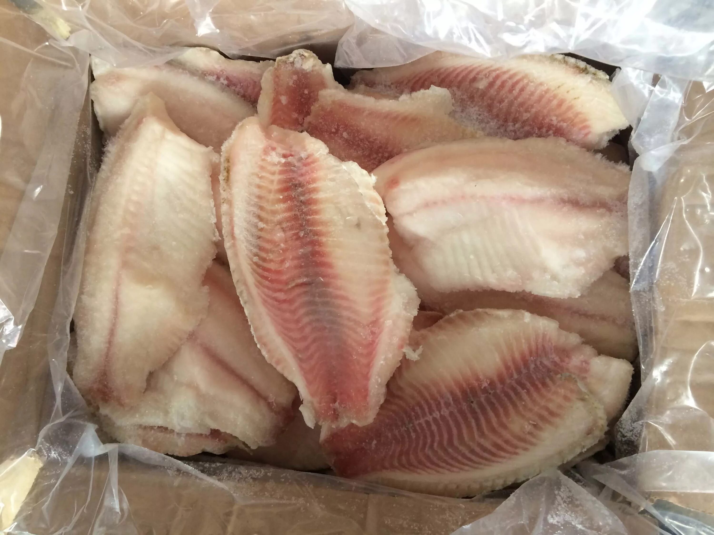 Пангасиус черноморский. Рыба пангасиус что можно ли ее кушать. Рыба пангасиус что можно ли ее кушать. Пангасиус розовый. Пангасиус рыба.