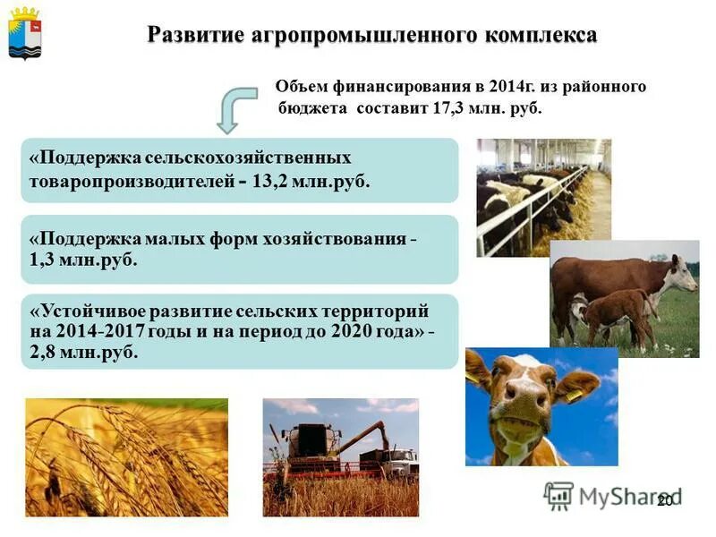 сельское хозяйство. формирование агропромышленных комплексов. формирование агропромышленных комплексов. формирование агропромышленных комплексов. агропромышленный комплекс направления развития.