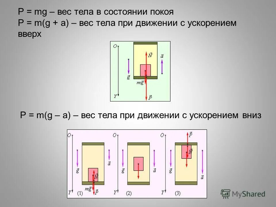На полу лифта движущегося вертикально. Вес тела при движении вверх и вниз с ускорением. вес тела движущегося с ускорением вверх и вниз. вес тела движущегося с ускорением направленным вверх формула. вес тела p mg.