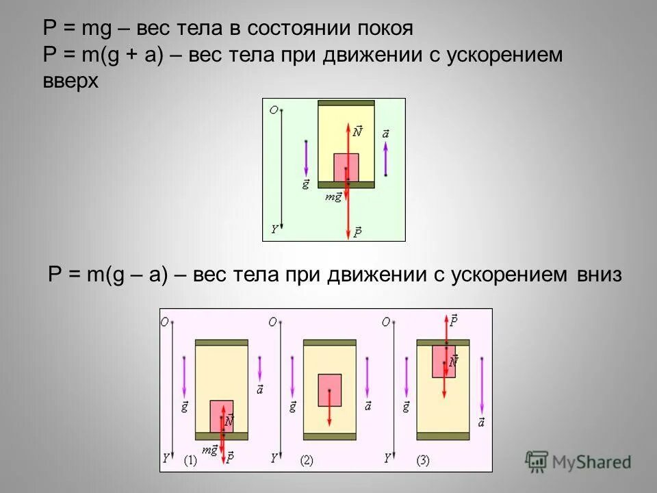 Равнодействующая направлена вертикально вниз. Вес тела в состоянии покоя. Вес тела движущегося с ускорением. Вес тела при движении с ускорением. Вес тела при движении с ускорением вверх.