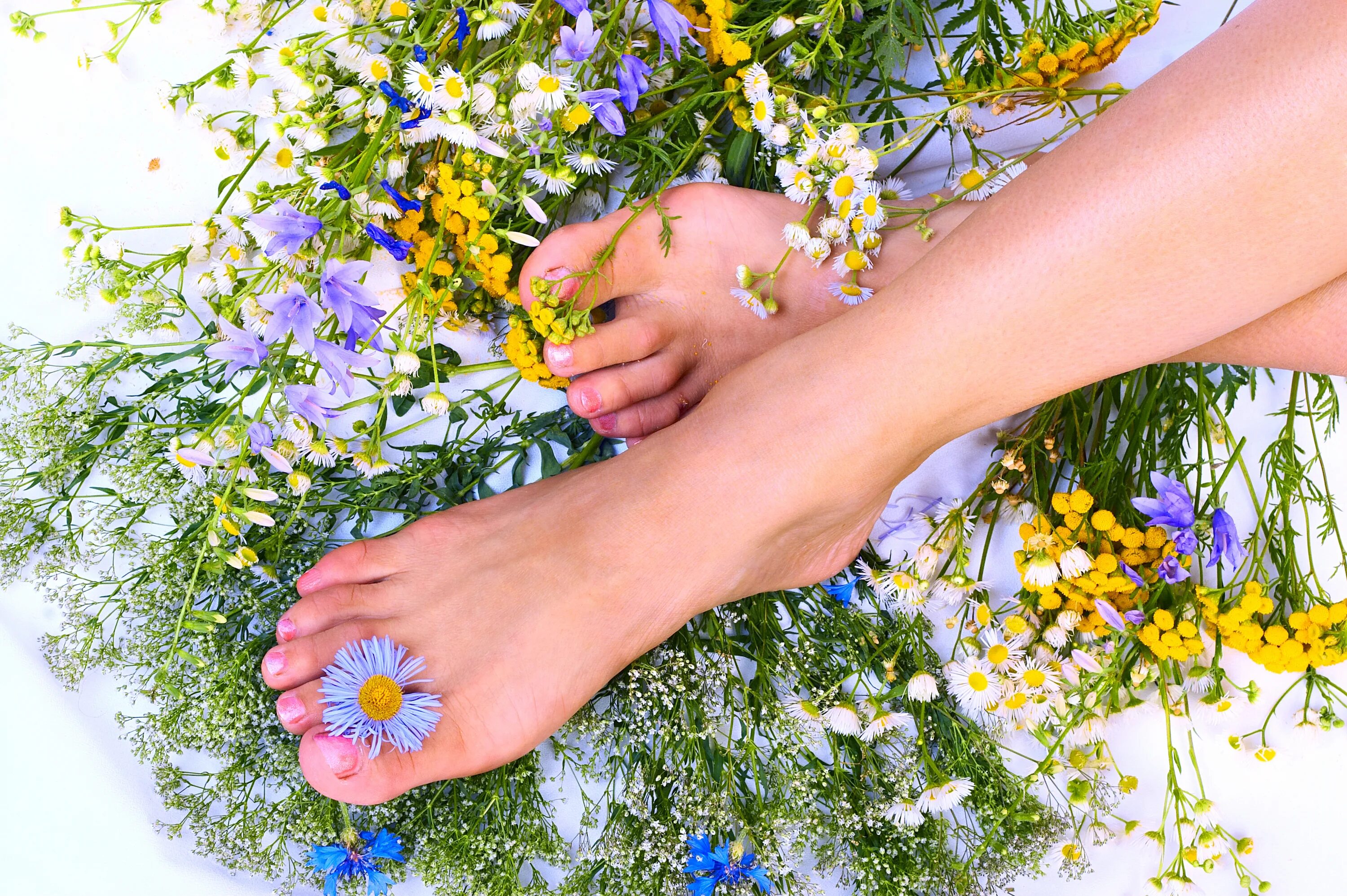 Руки цвета весны. Красивые Здоровые ноги. Здоровые красивые ножки. Ноги в в траве с педикюром.