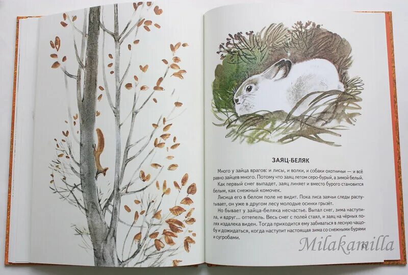 Снегирев про пингвинов книга. Книга снегирев про птиц. Ночные колокольчики снегирев. Снегирев дикий зверь. Книги про пингвинов для детей.