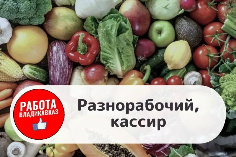 ищу работу во владикавказе