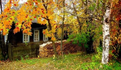 Осень золотая коса