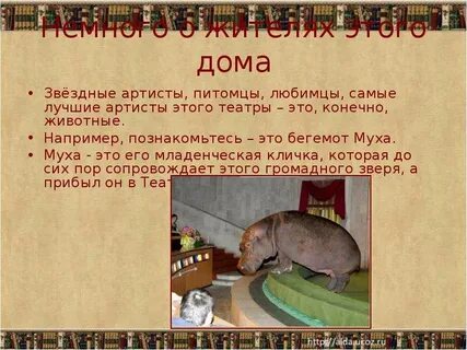 Немного житель