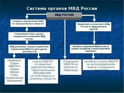 Система дело состав