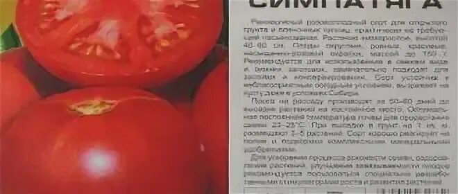 Томаты жрица описание сорта отзывы
