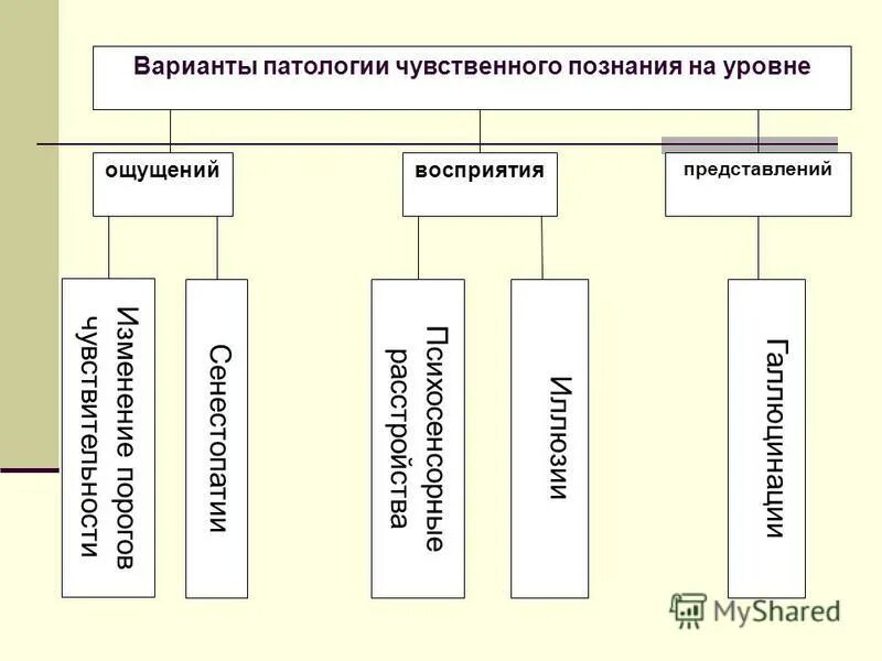 Чувственные формы познания ощущение восприятие представление. Классификация нарушений ощущений. Патология восприятия и представлений. Патология чувственного познания. Патология нарушения восприятия.