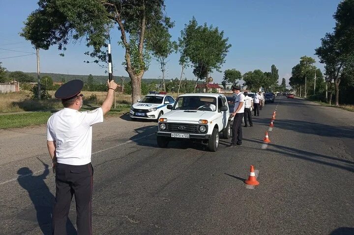 Водительское майкоп. Нетрезвые водители Майкоп. Майкопские новости автофестиваль Майкоп. ГИБДД по ра Адыгейск. Адвокат Пханаев Майкоп.