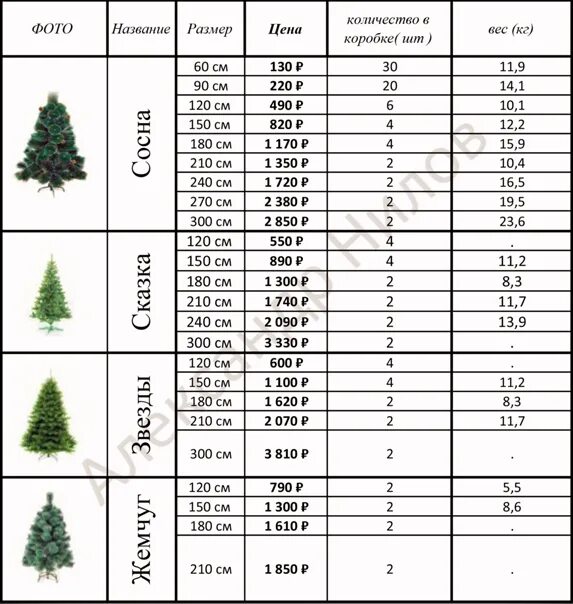Максимальный вес ели. Размеры елок. Диаметр елки. Диаметр кроны елки. Ель Размеры диаметр.