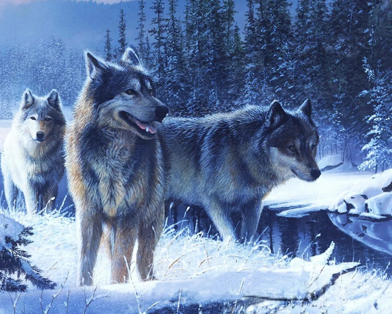 Зимний волк 56. Роберт бейтман волки. wintry wolf (зимний волк). живопись одинокий волк зимой. художник даниель волков зима.
