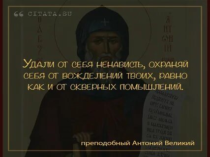 Цитаты скопировать