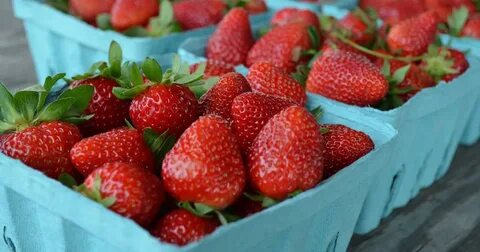 Pick strawberries