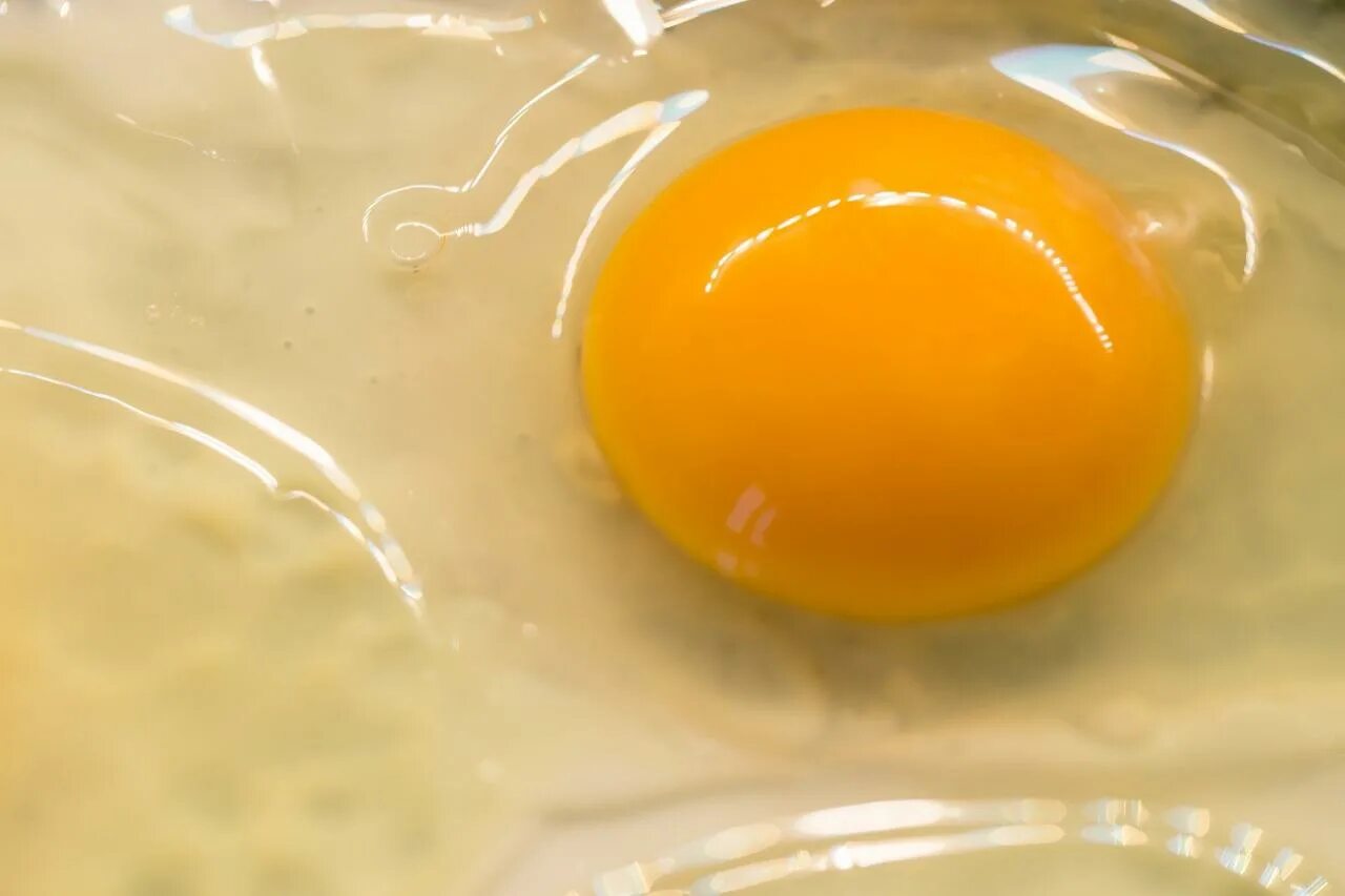 Белки яиц купить. Яичные белки. Сырой яичный белок. Яичный белок для стола.