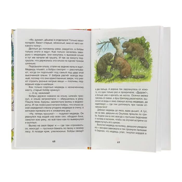 Барсучий нос распечатать текст полностью. К. Паустовский "барсучий нос". Книгаюарсучий нос Паустовский. Паустовский барсучий нос Росмэн.