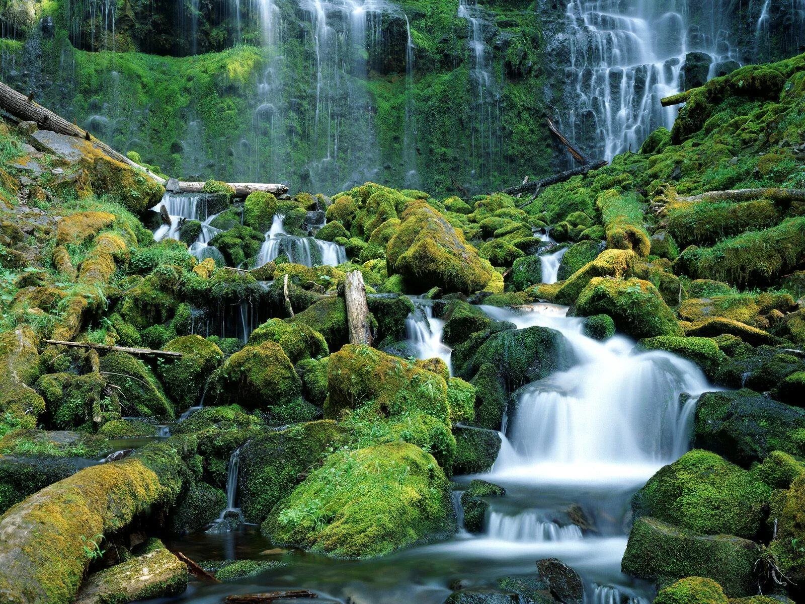 Живые картинки. Водопад Тиссисат. Водопад прокси, Орегон. Красивые водопады. Красивая Живая природа.