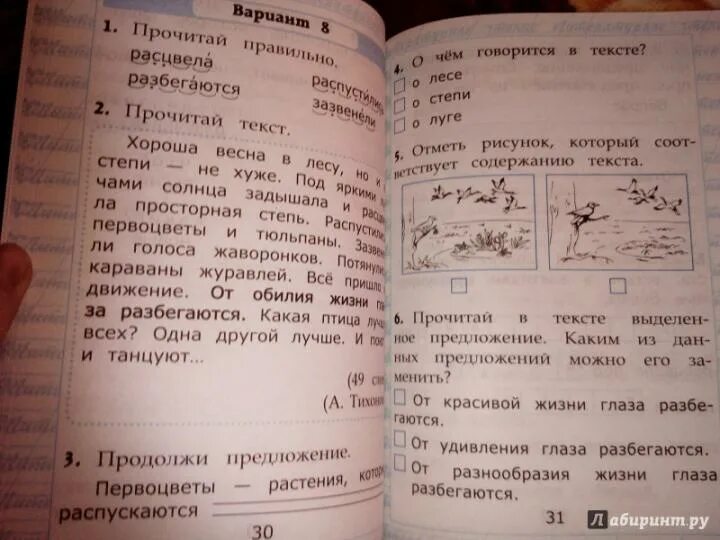 Работа с текстом 1 2 вариант. Первый класс чтение работа с текстом. чтение работа с текстом 1 класс.