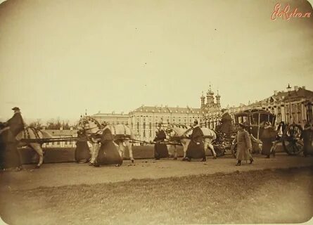 Санкт петербург 1916 год