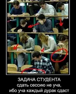 Центр СФЕРА - консультации студентам ВГМХА Оказываем консультации, подбираем мат