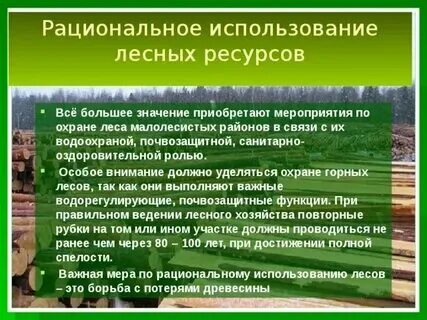 Мероприятия по охране лесных ресурсов. Мероприятия по охране лесных ресурсов
