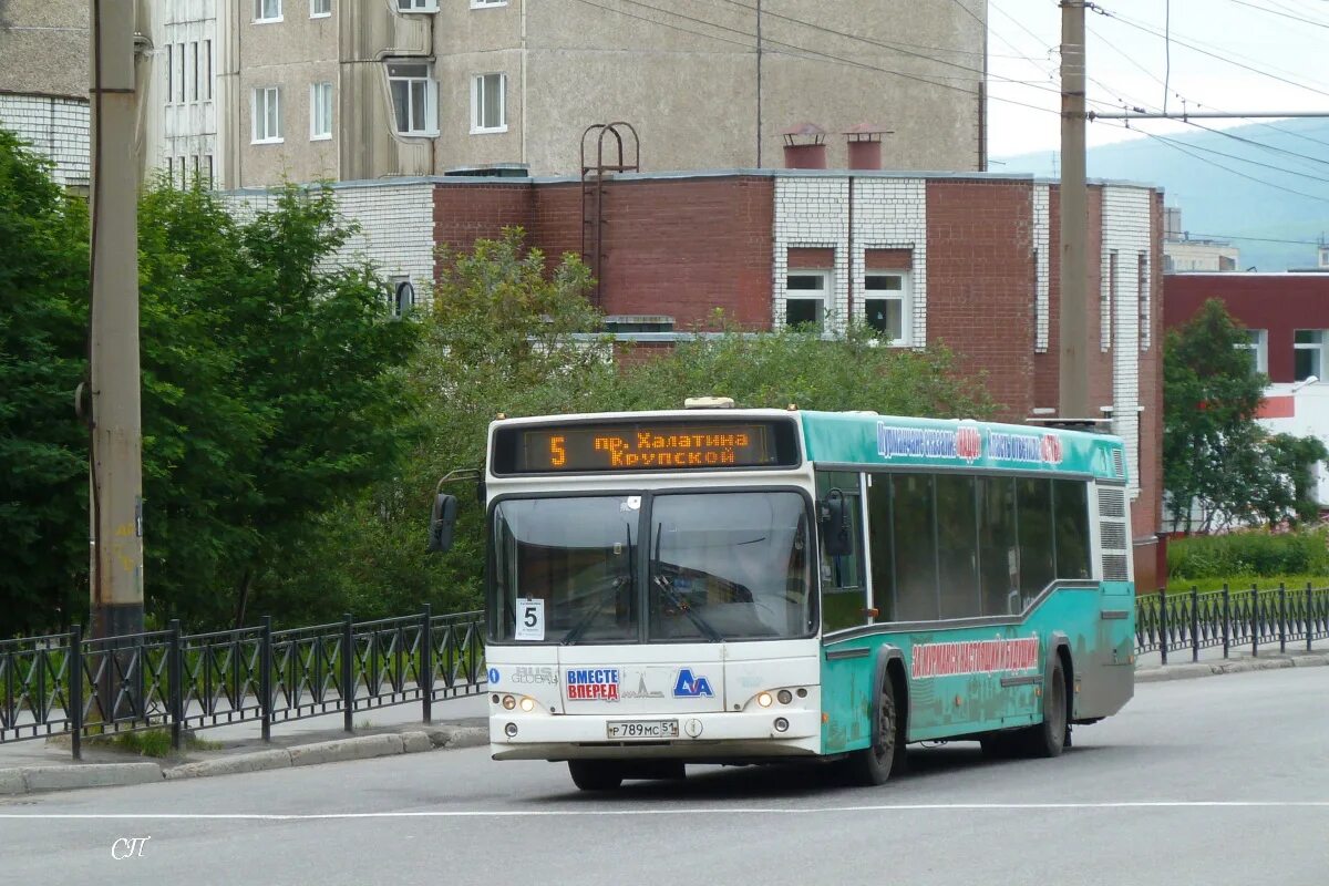 Пес в автобусе. Газель next a64r42. Газ-a64r42 next. 51 маршрутка. Прайм лайн мурманск.