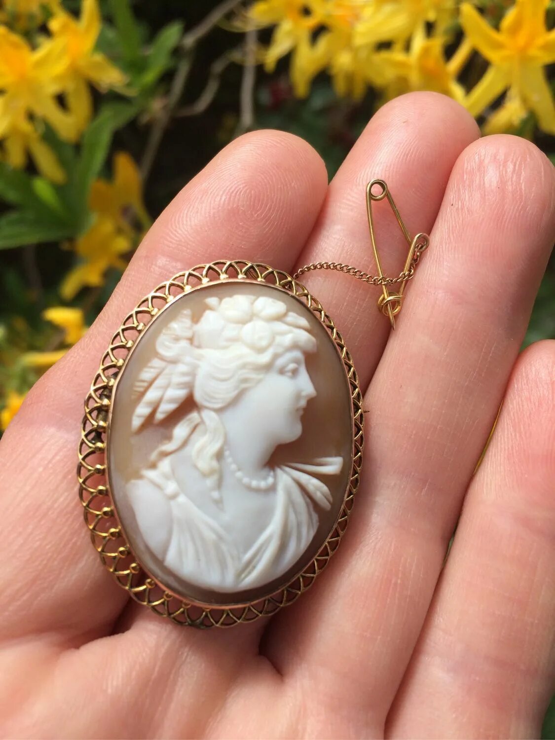 Джованни ното камеи. Брошь камея. Камея гангоза. Камея луиджи саулини. Сайт камея.