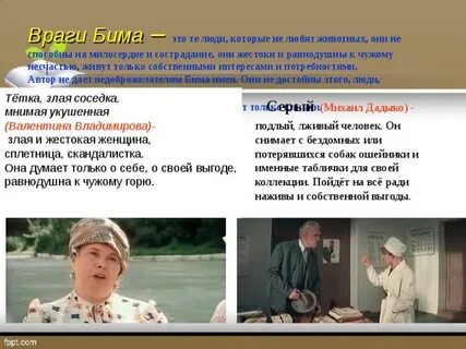 Бим куда делся сема жук