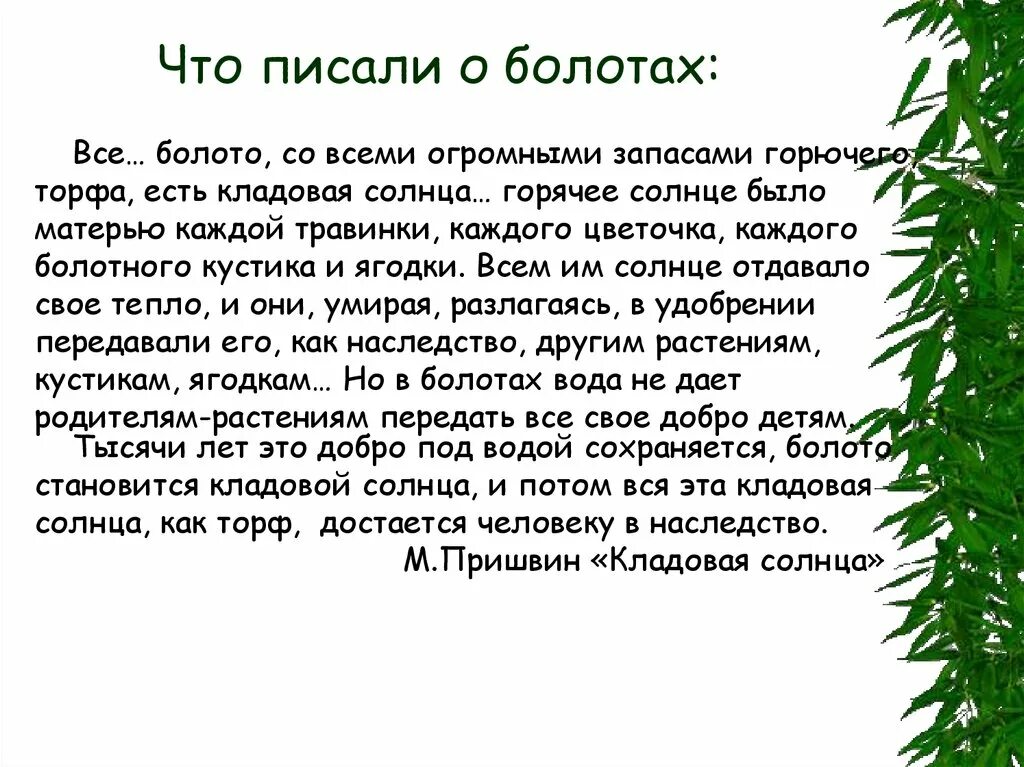 Почему торф называют кладовой солнца. Торф кладовая солнца. Пришвин кладовая солнца. Блудово болото кладовая солнца. Кладовая солнца Жанр.