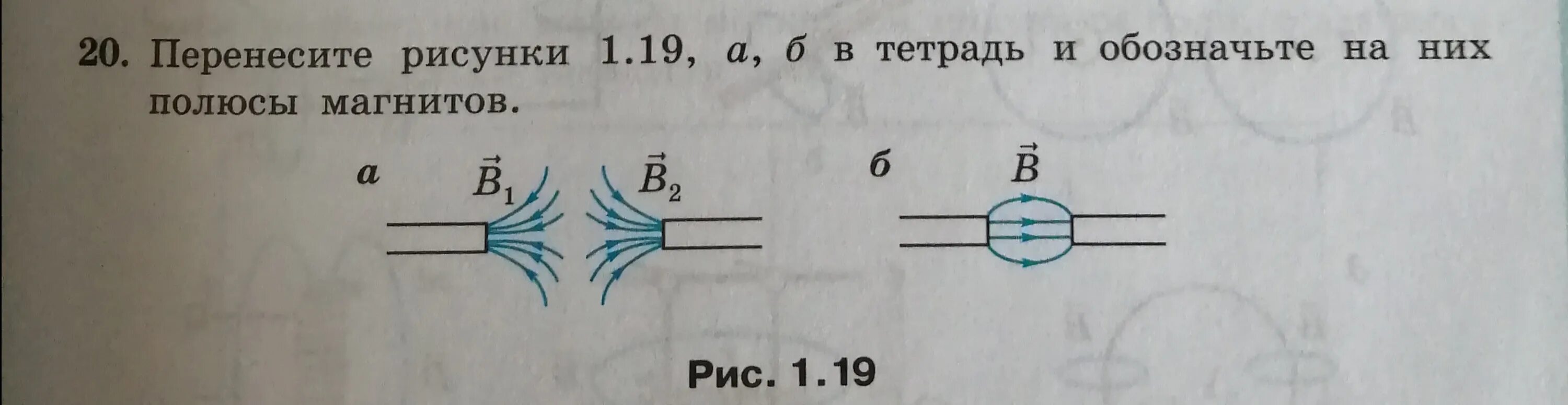 Полосовой магнит. Полосовой магнит разделили на три части. Перенесите рисунок в тетрадь определить полюсы магнита. Принесите рисунки в тетрадь и обозначьте на них полюсы магнитов.