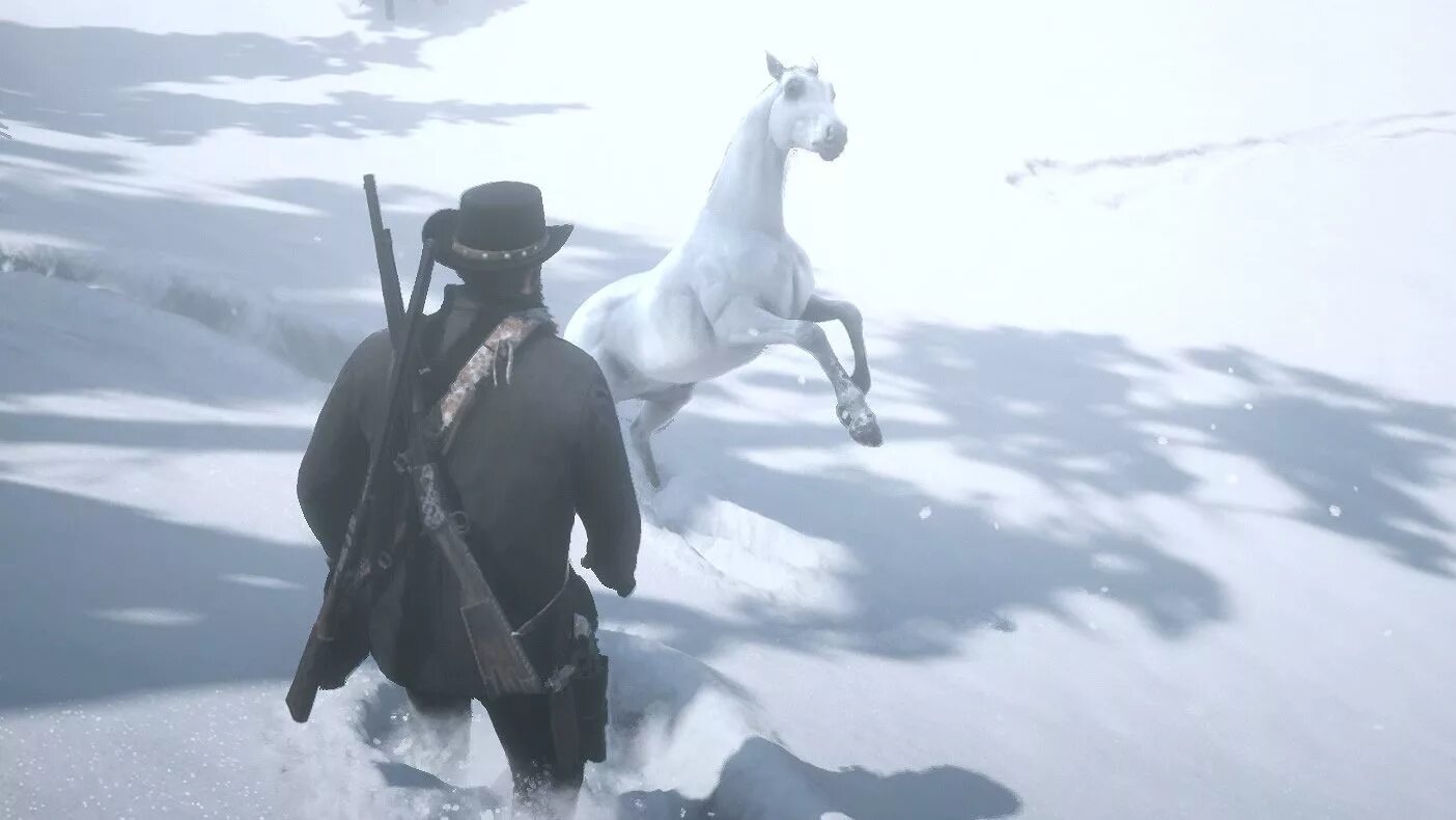 Арабский конь РДР 2. Арабская лошадь РДР 2. Red Dead Redemption 2 кобыла. Rdr2 Arabian White Horse.