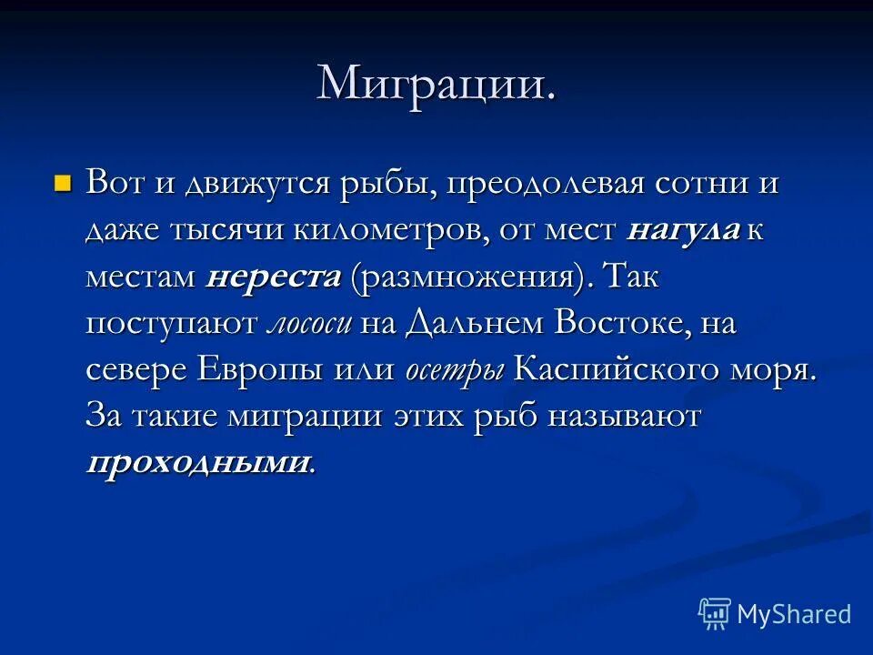 Совершает ли лось длительные миграции. Проект о миграции рыб. миграция рыб презентация. миграция рыб связанных с размножением. миграция рыб кратко.