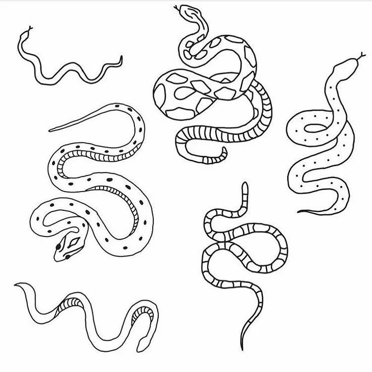 Тату маленьких змей. Эскизы татуировок змеи. Змея Татуировка эскиз. Маленькая змея эскиз. Тату эскизы маленькие змеи.