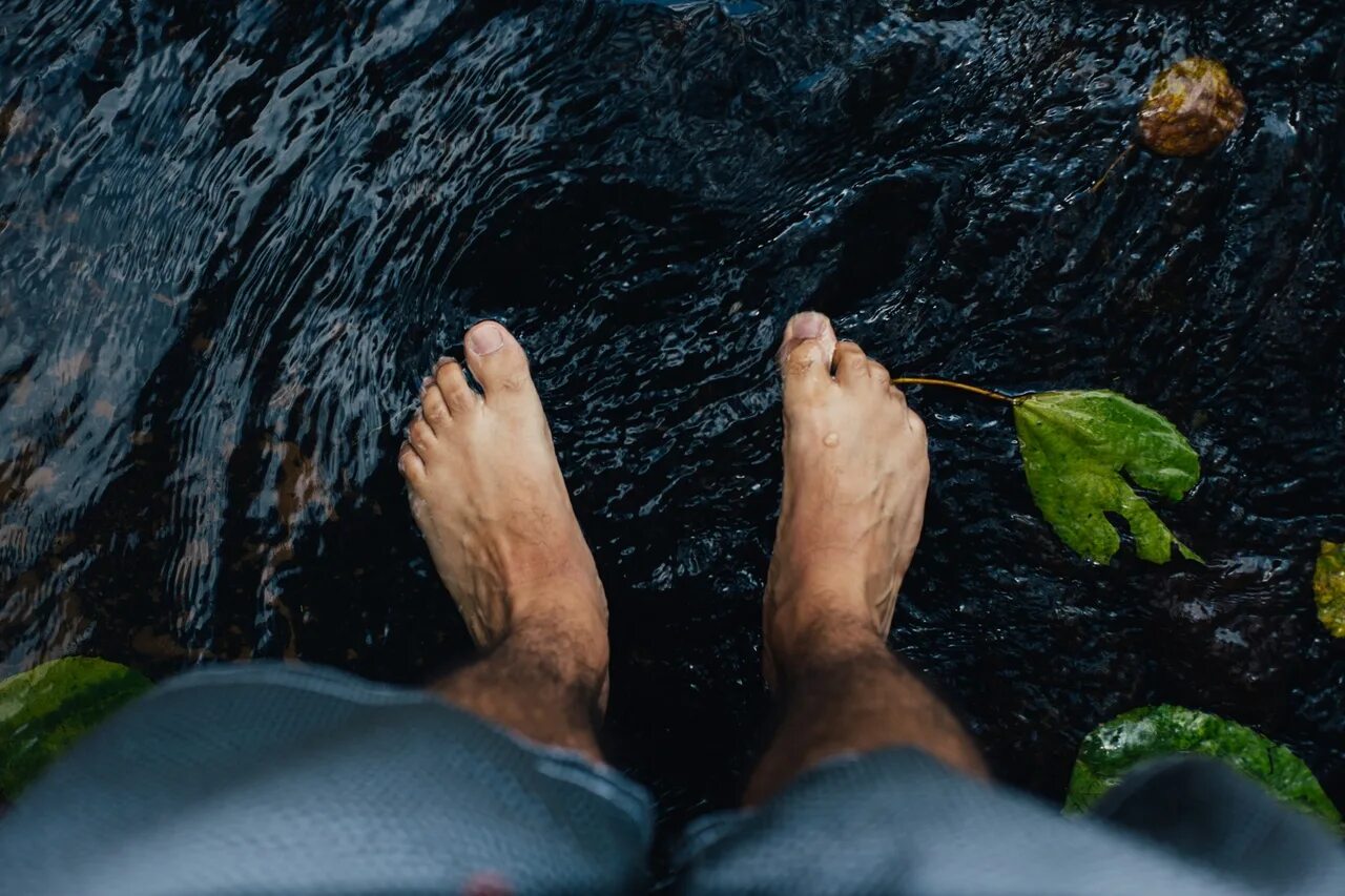 Дерево ногами в воде. Ноги в воде. Ноги в ручье. Стопы в воде. Босые ноги в воде.