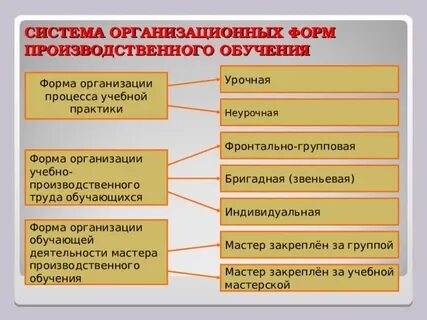 Виды учебно производственных работ