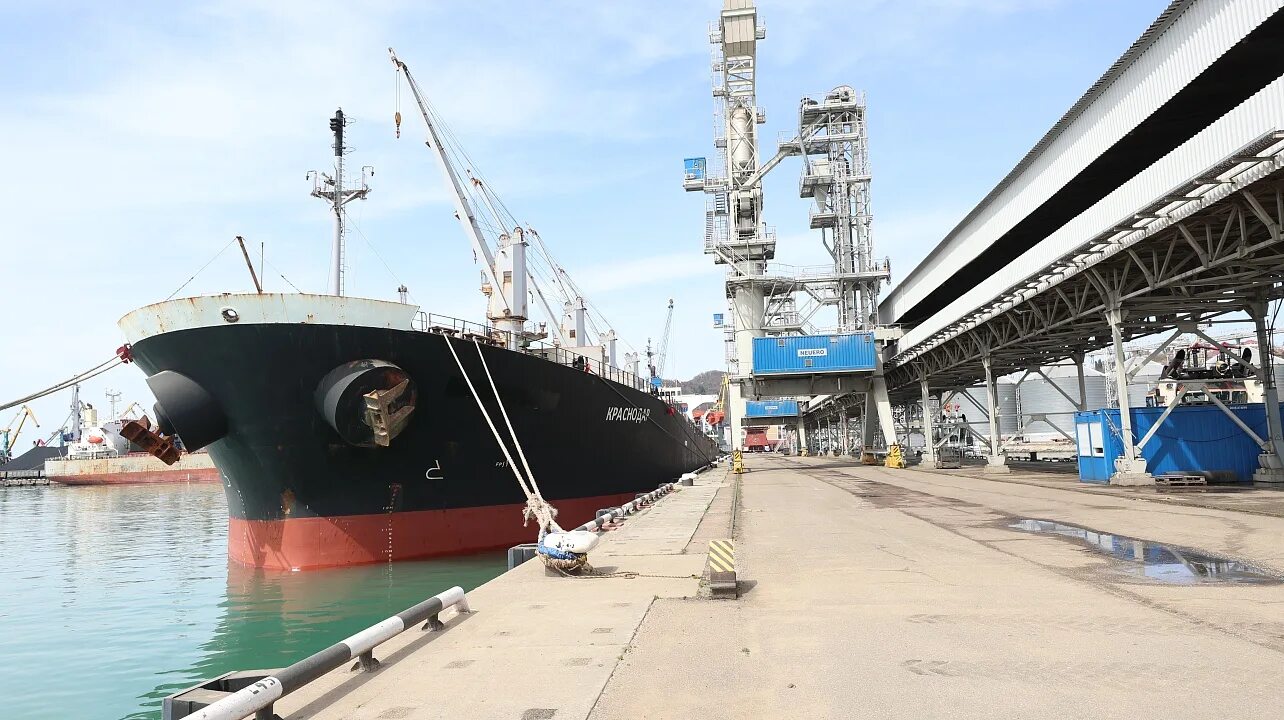 Порт 219 ул вишняковой 1 10с2 центральный