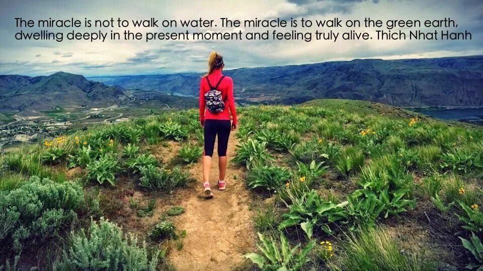 Even if there is no miracle. Walking meditation. a walking miracle (2025).