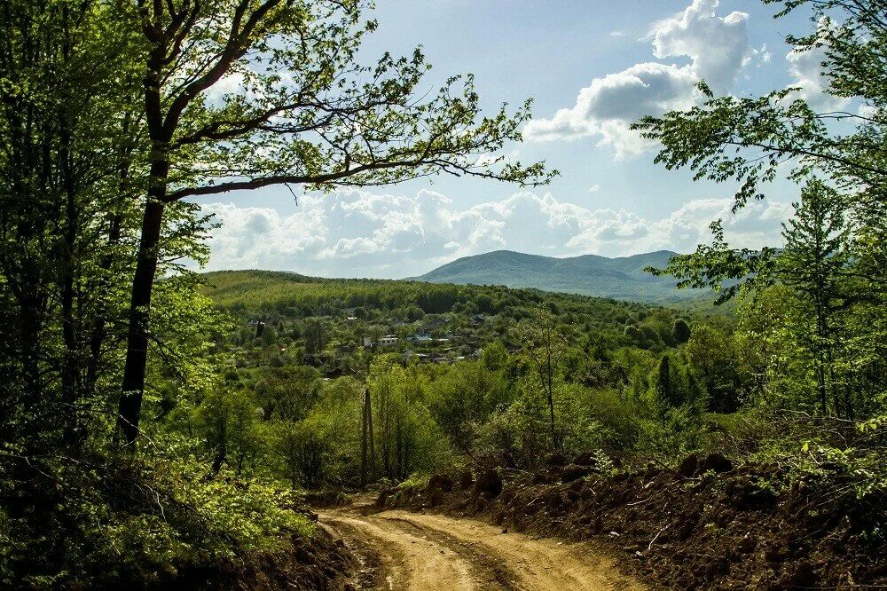 Предгорье сайт смоленского. Предгорье Краснодарского края. Предгорье Северного Кавказа. Предгорье Апшеронский район.