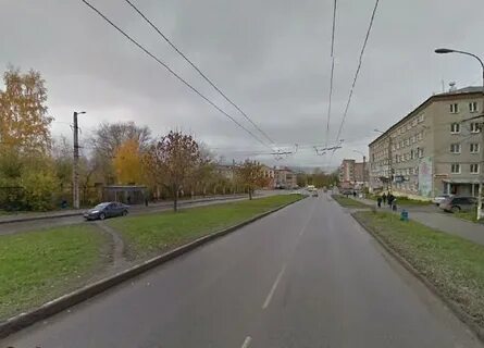 Мировые березники